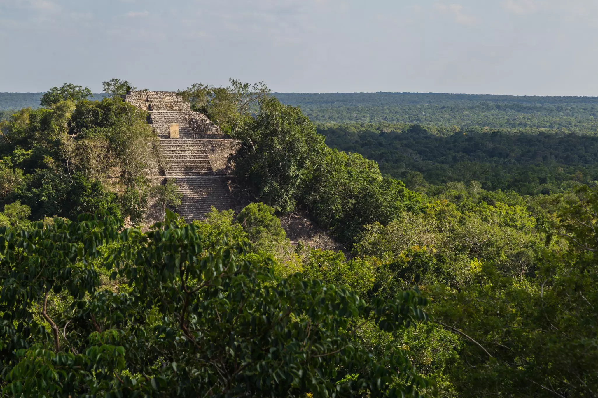 Calakmul mayan ruins