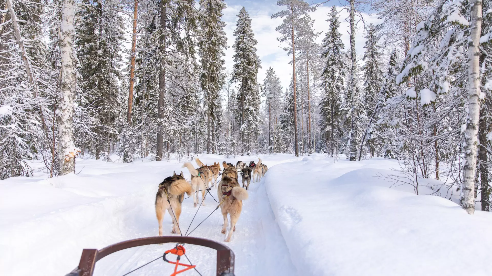 Victor Maschek / Shutterstock