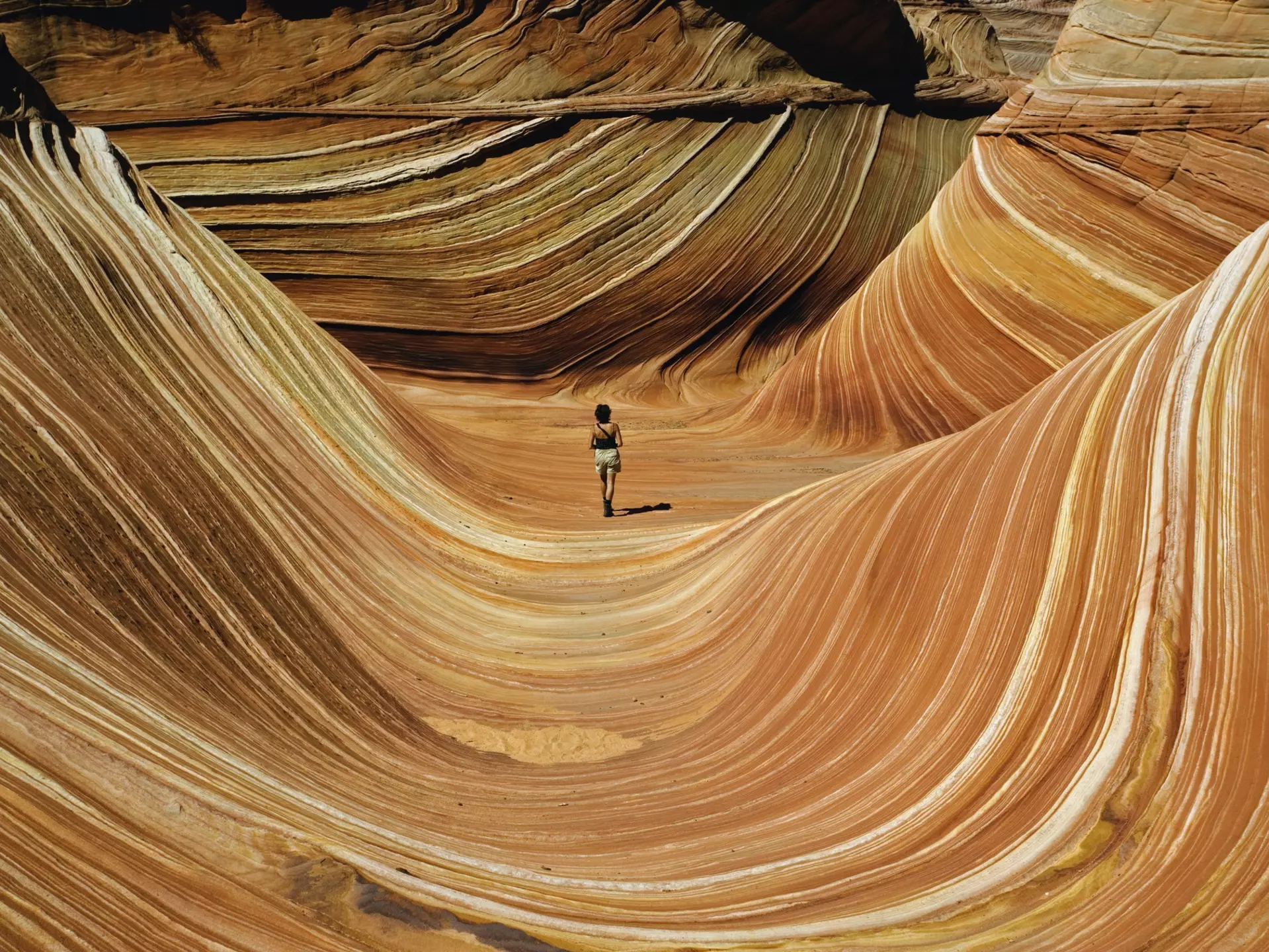 USA, Arizona/Utah border, woman walking across The Wave, rear view