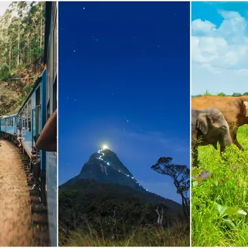Left: a train running though tea plantations; centre: a mountain path lit up at night; right: elephants in a national park.