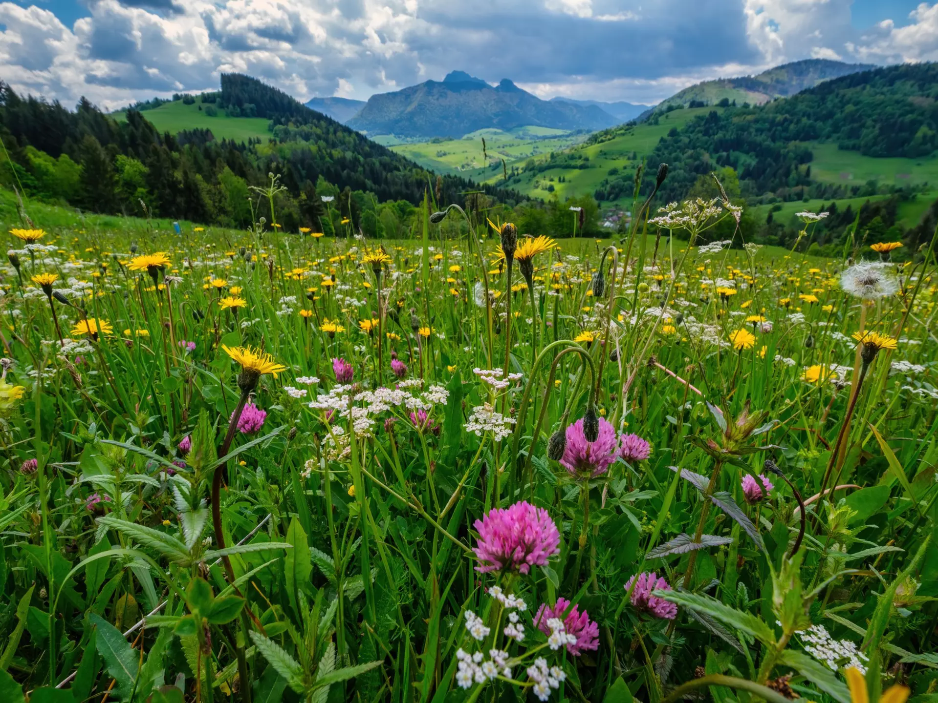 The Malá Fatra range. Kluciar Ivan/Shutterstock