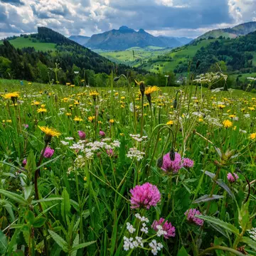 The Malá Fatra range. Kluciar Ivan/Shutterstock