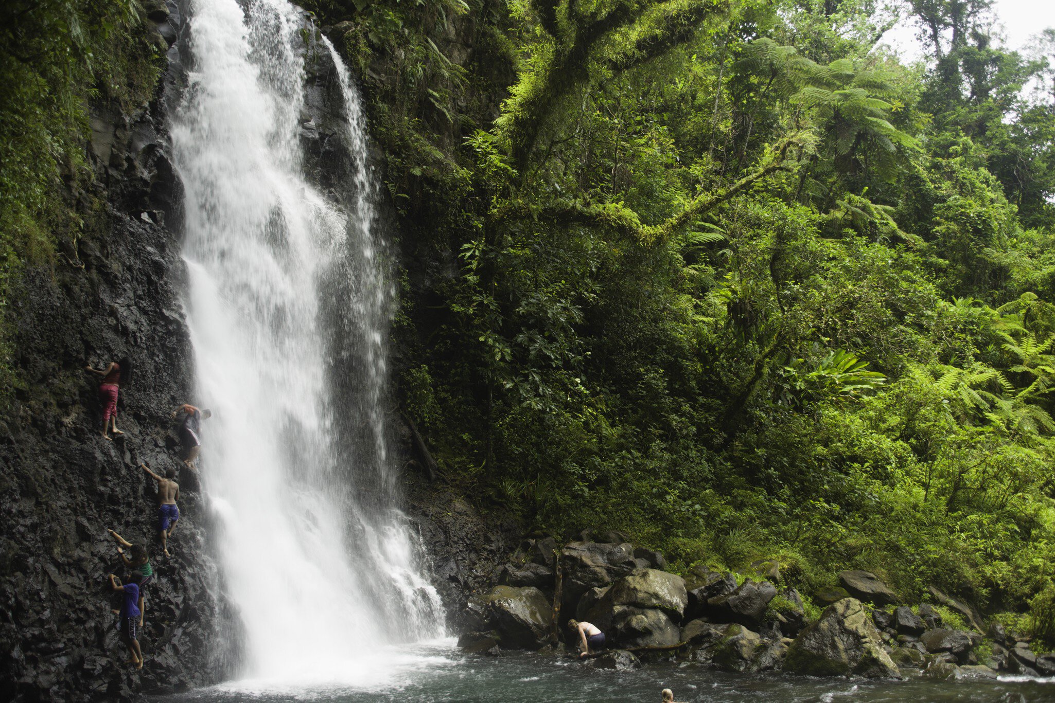 Fiji, Tavoro National Park, Taveuni Island, Middle Bouma Falls