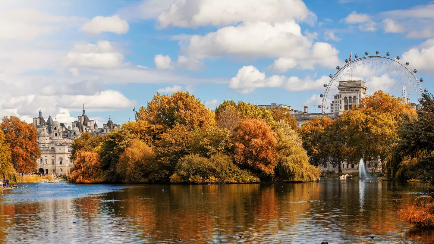 A large lake surrounded by trees with leaves that have turned golden brown in the fall. A Ferris wheel stands in the distance.
