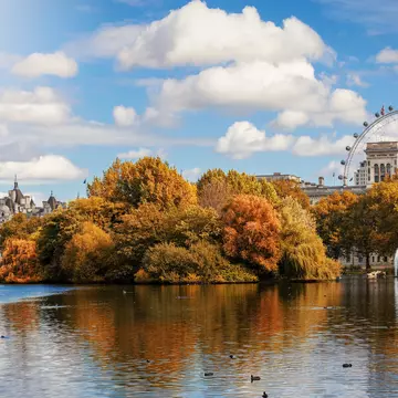 A large lake surrounded by trees with leaves that have turned golden brown in the fall. A Ferris wheel stands in the distance.