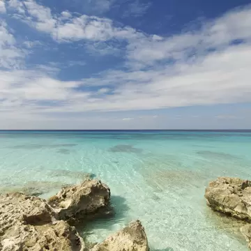 Coral beach