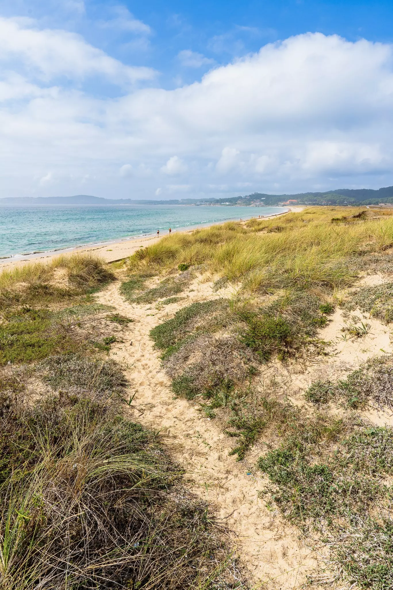 Image from Canto with ID pm04orkn5h51bcptsmenl5vh3o