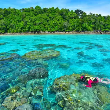 Phang Nga, Thailand - Dec 4, 2014: Tourists snorkeling in clear water at Surin island.