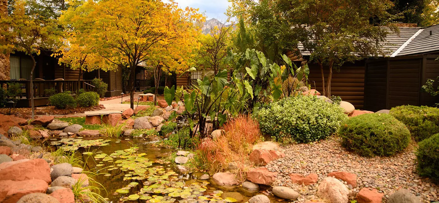 Handout images from L'Auberge de Sedona
For "The best hotels for seeing fall foliage"
Credit: L’Auberge de Sedona