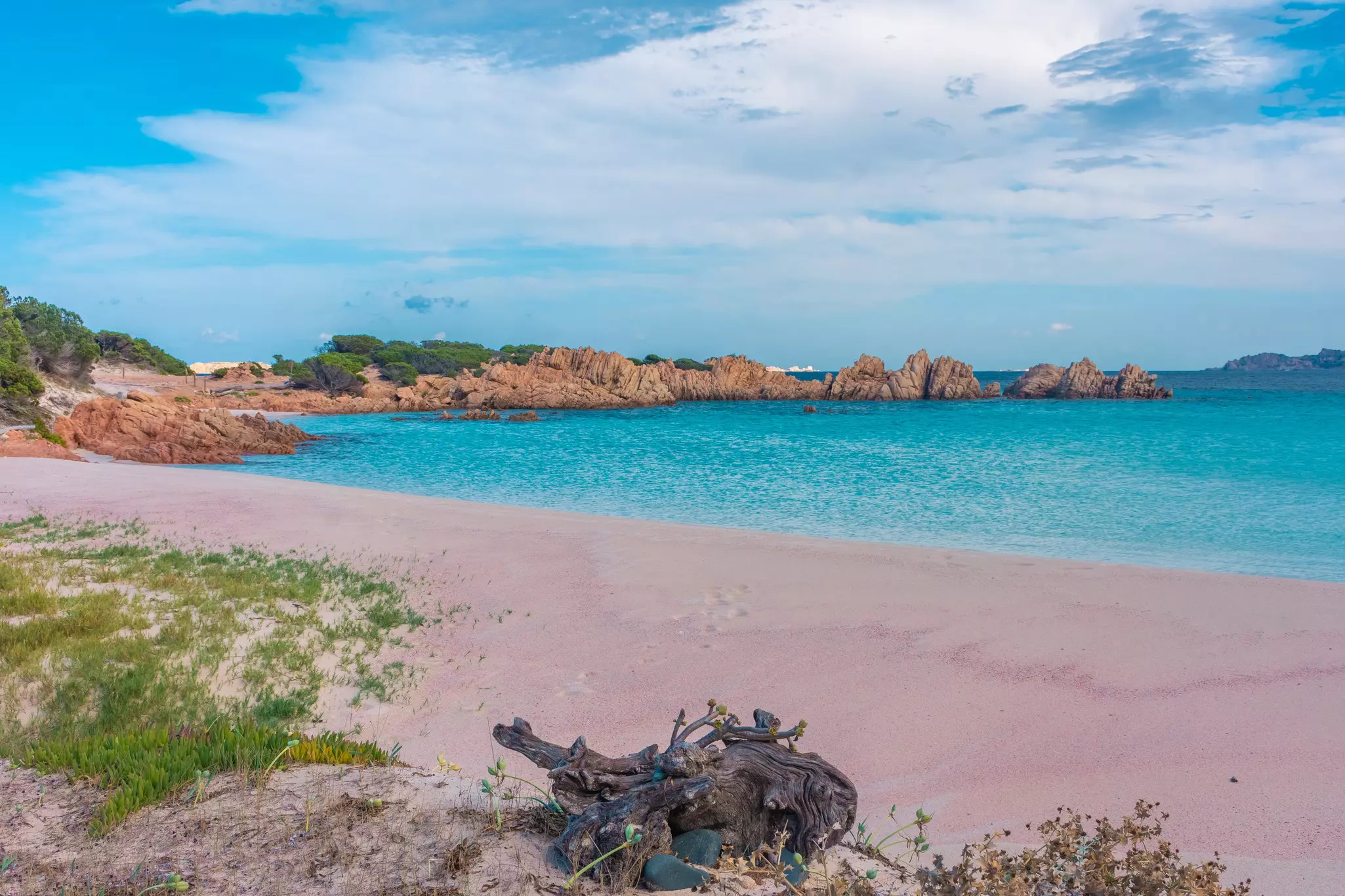 A beach with pink sand contrasting with the turquoise ocean