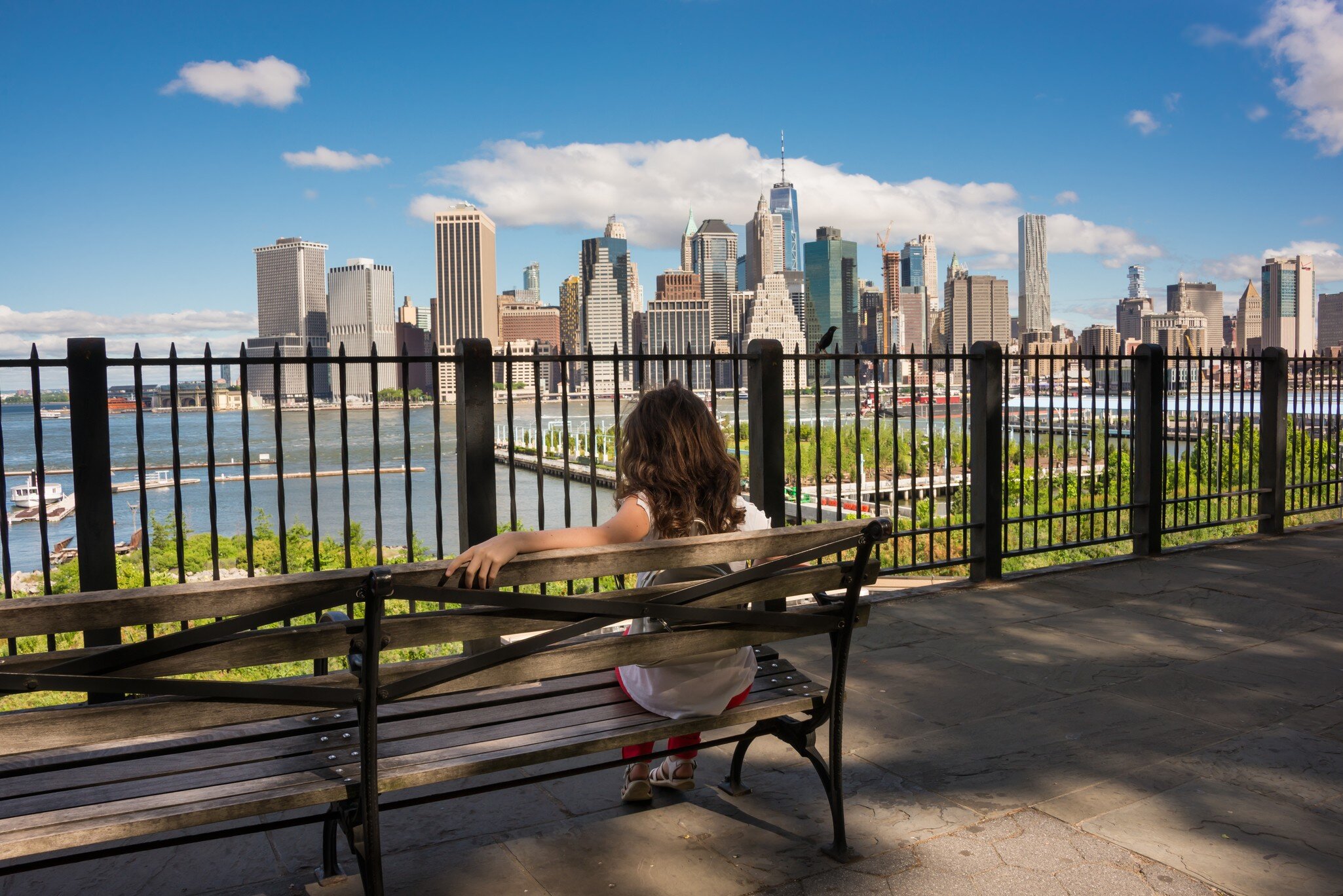New york skyline seen from Brooklyn heights promenade  License Type: media  Download Time: 2023-12-13T12:36:29.000Z  User: FergalCo  Is Editorial: No  purchase_order:
