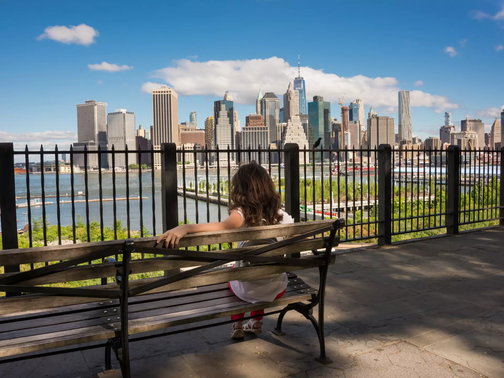 New York skyline seen from Brooklyn Heights Promenade. Maria_Usp/Shutterstock