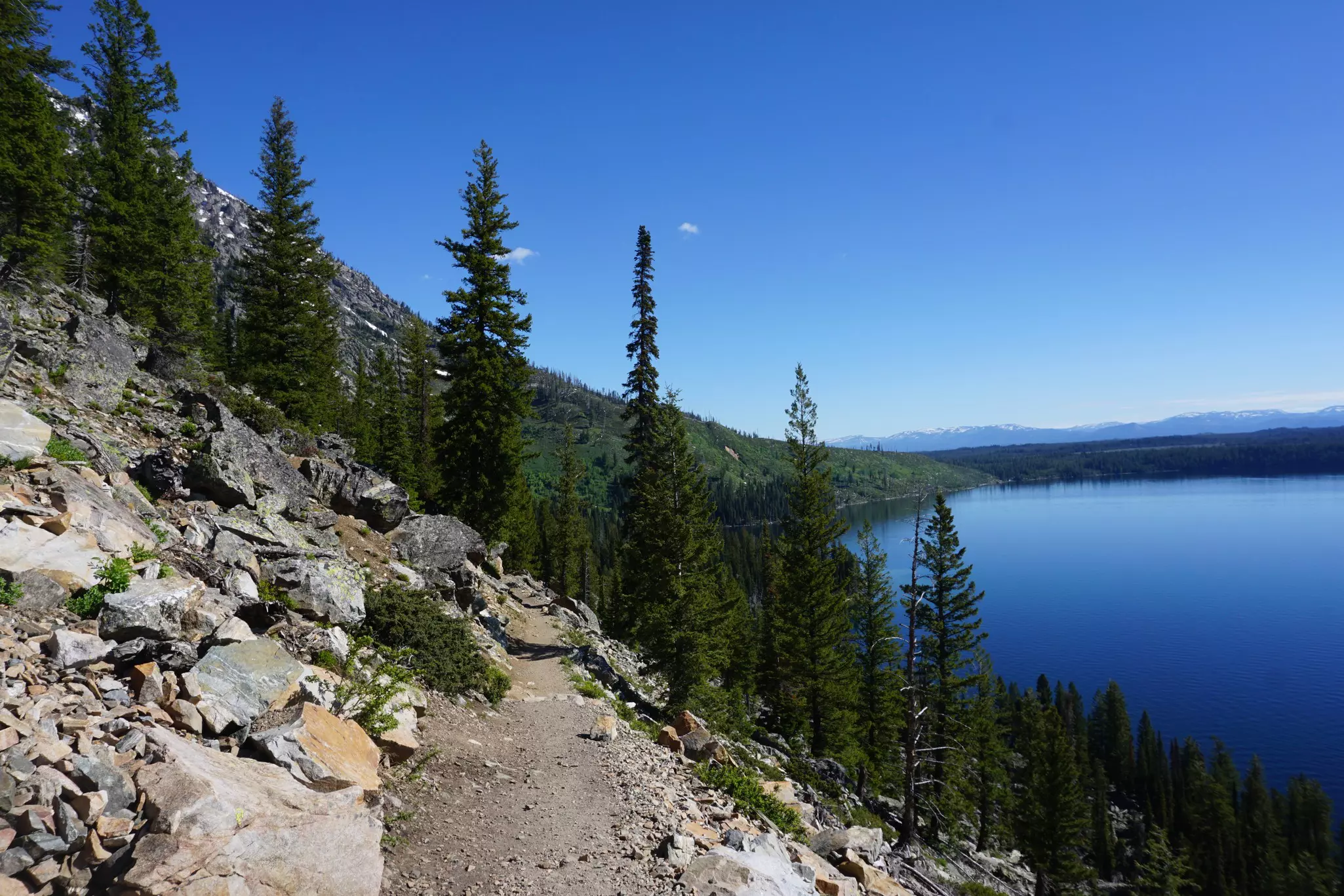 Trail along Jenny Lake