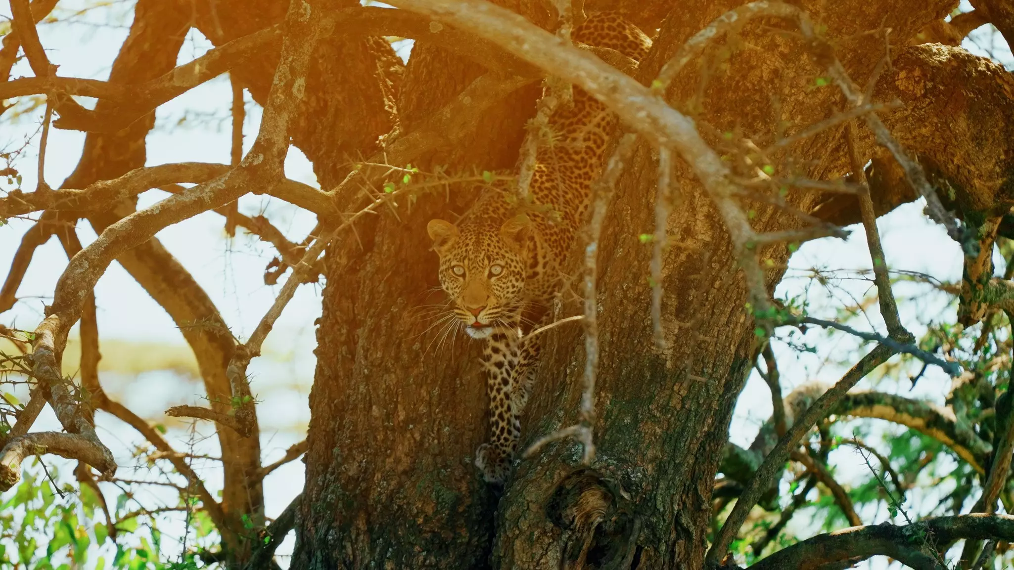 It’s hard to pick a single favorite photo from the thousands I took © Jack Pearce