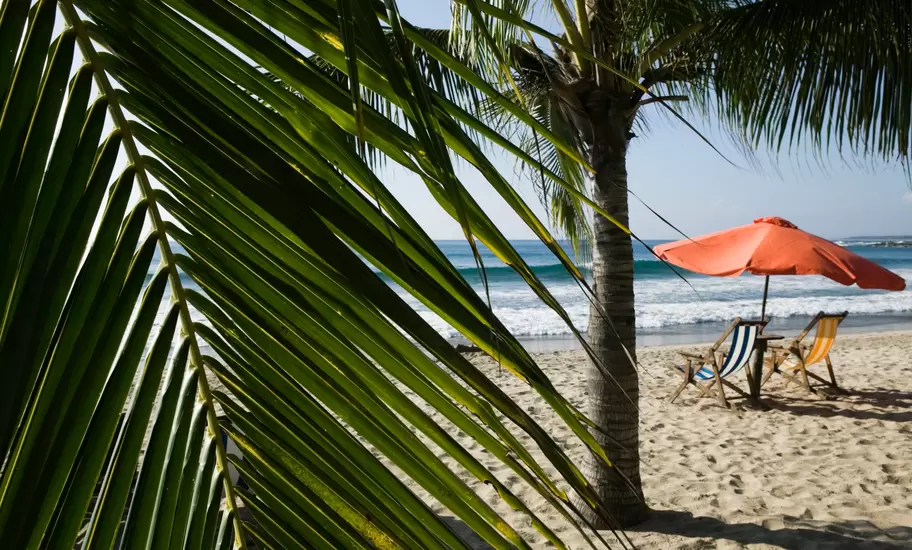 Beach view through a leaning palm frond, with two striped deck chairs and an orange umbrella on the sand beside breaking waves.