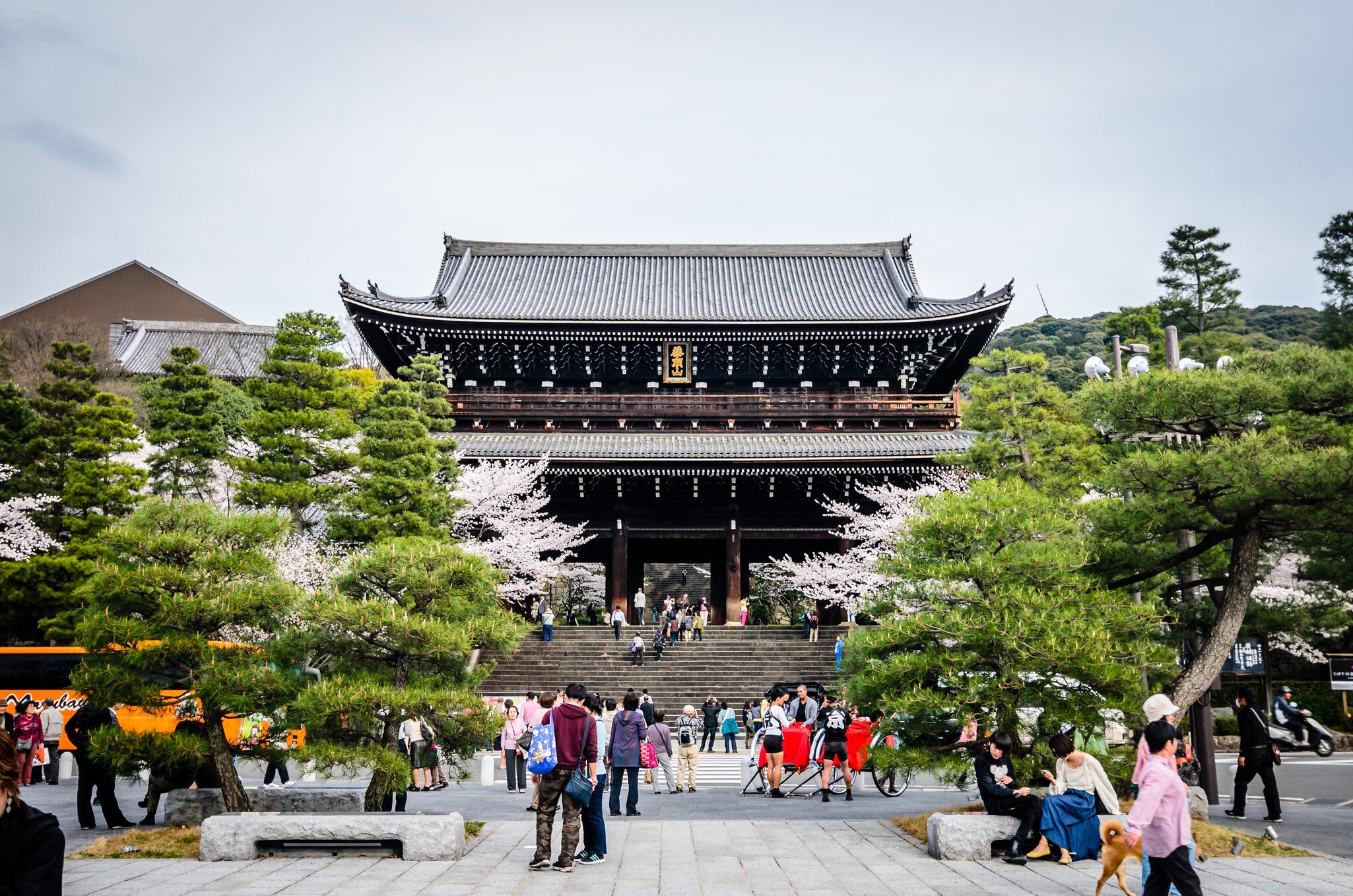 KYOTO,JAPAN - APRIL 4 :Visitor come across Sanmon gate , the main entrance Chion-in temple in Hiyashiyama . This gate is one of the Japan national treasure . On 4 April 2014  in Kyoto , Japan.
ancient, architecture, asia, asian, attraction, buddha, buddhism, building, chion-in, chionin, culture, entrance, gate, god, higashiyama, holy, japan, japanese, kyoto, landmark, national, property, religion, religious, sanmon, shinto, spiritual, temple, tourism, tourist, tower, travel, treasure, zen