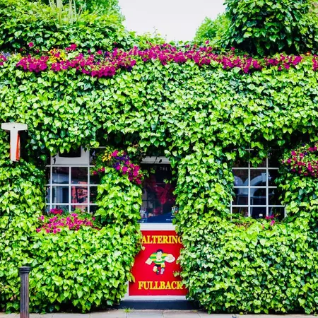 A pub's exterior covered in ivy that glows green in the sunshine.