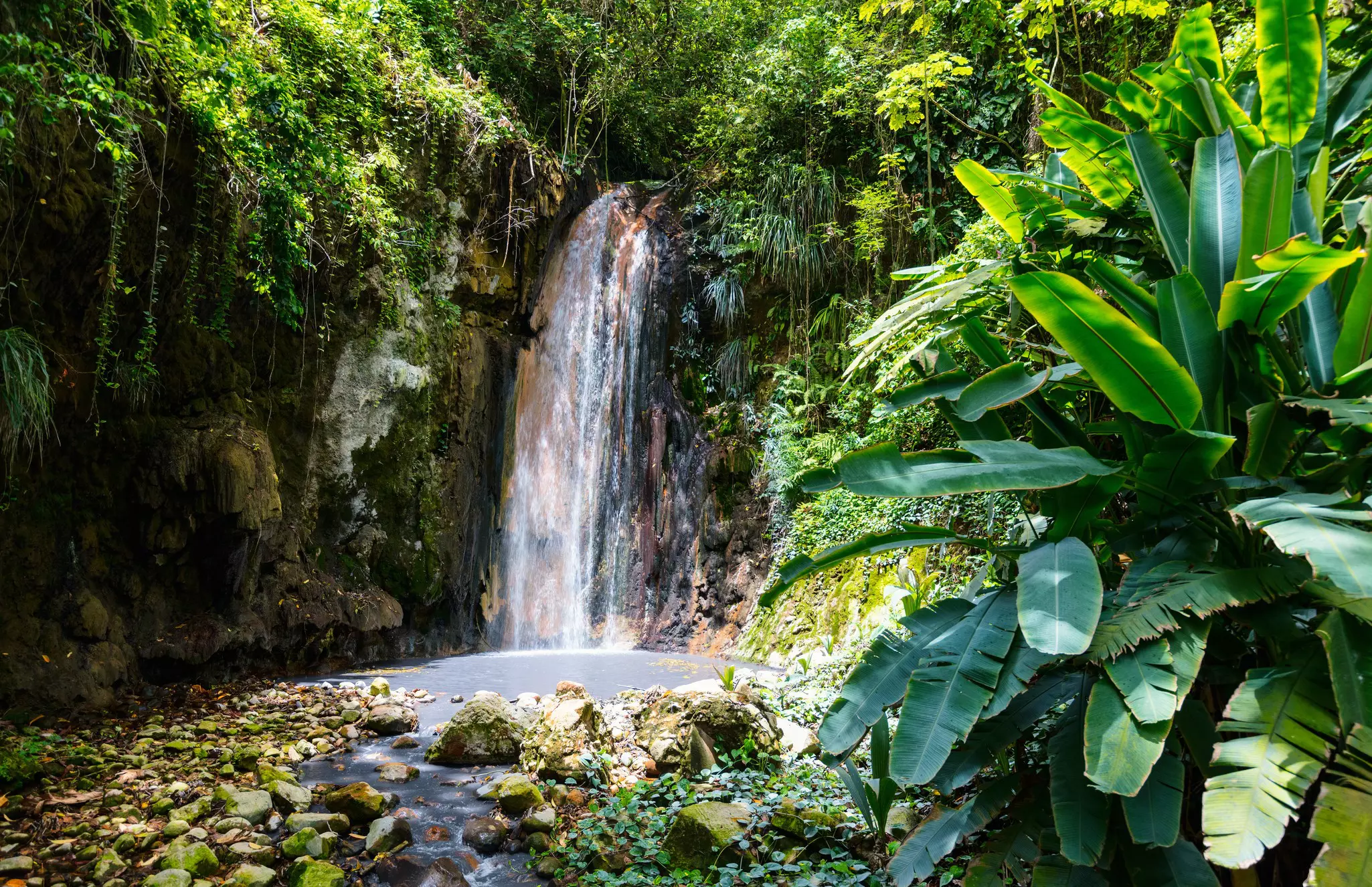 A waterfall in jungle