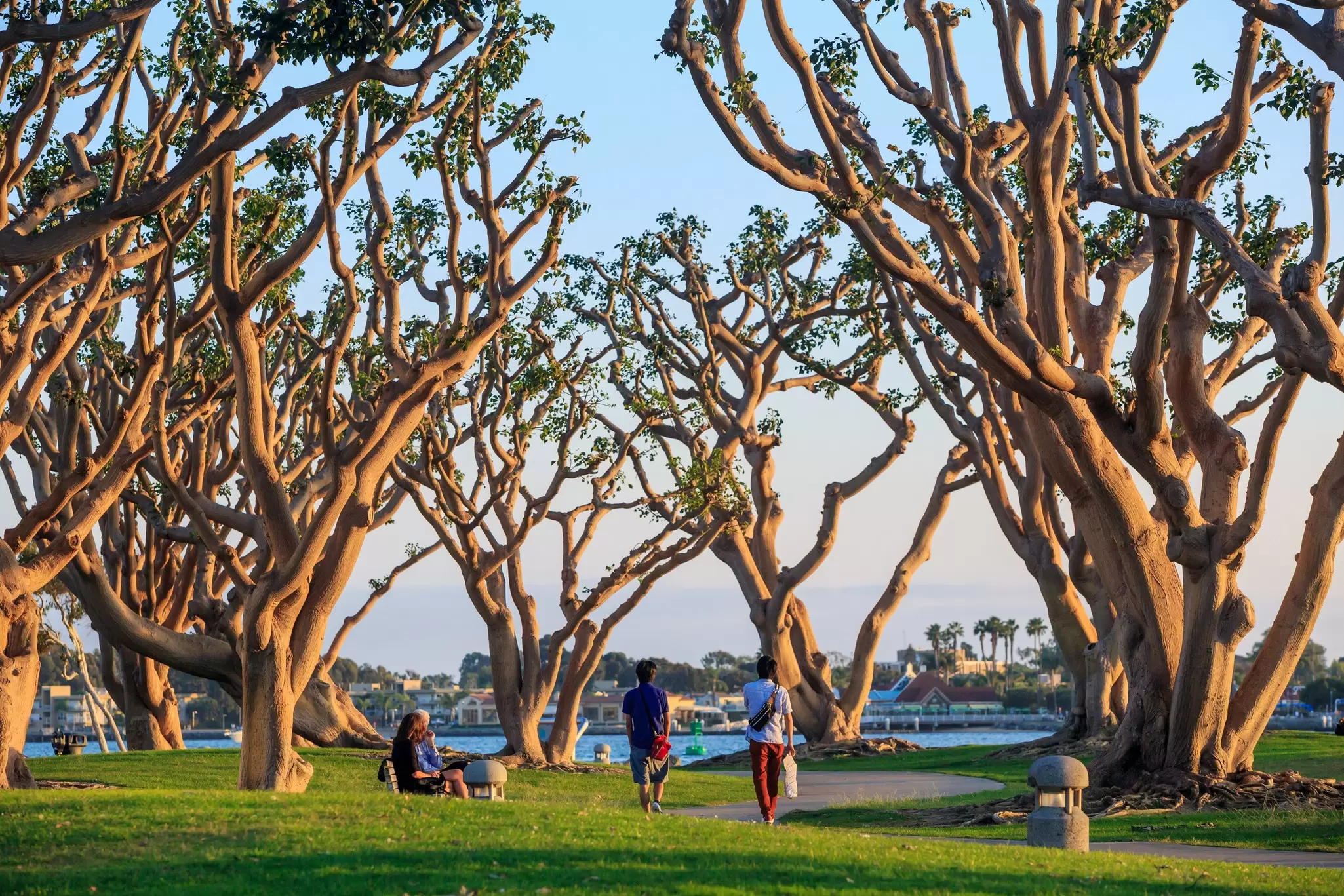 Mọi người đang thư giãn tại Công viên ven sông San Diego, California, Hoa Kỳ.