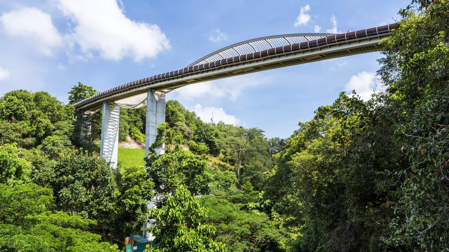 Singapore's highest pedestrian bridge, Henderson Waves, over lush greenery on a partly cloudy day