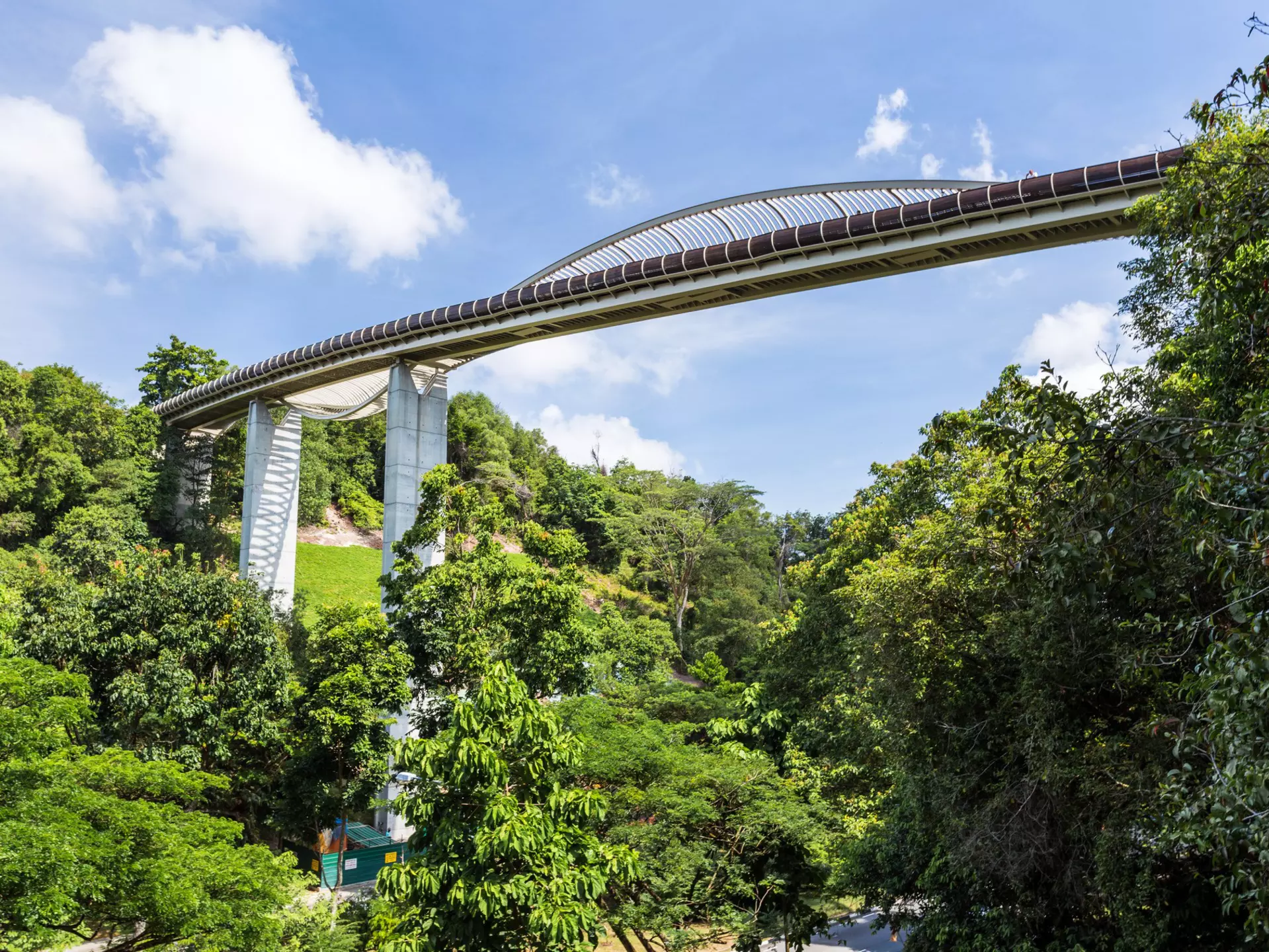 Singapore's highest pedestrian bridge, Henderson Waves, over lush greenery on a partly cloudy day