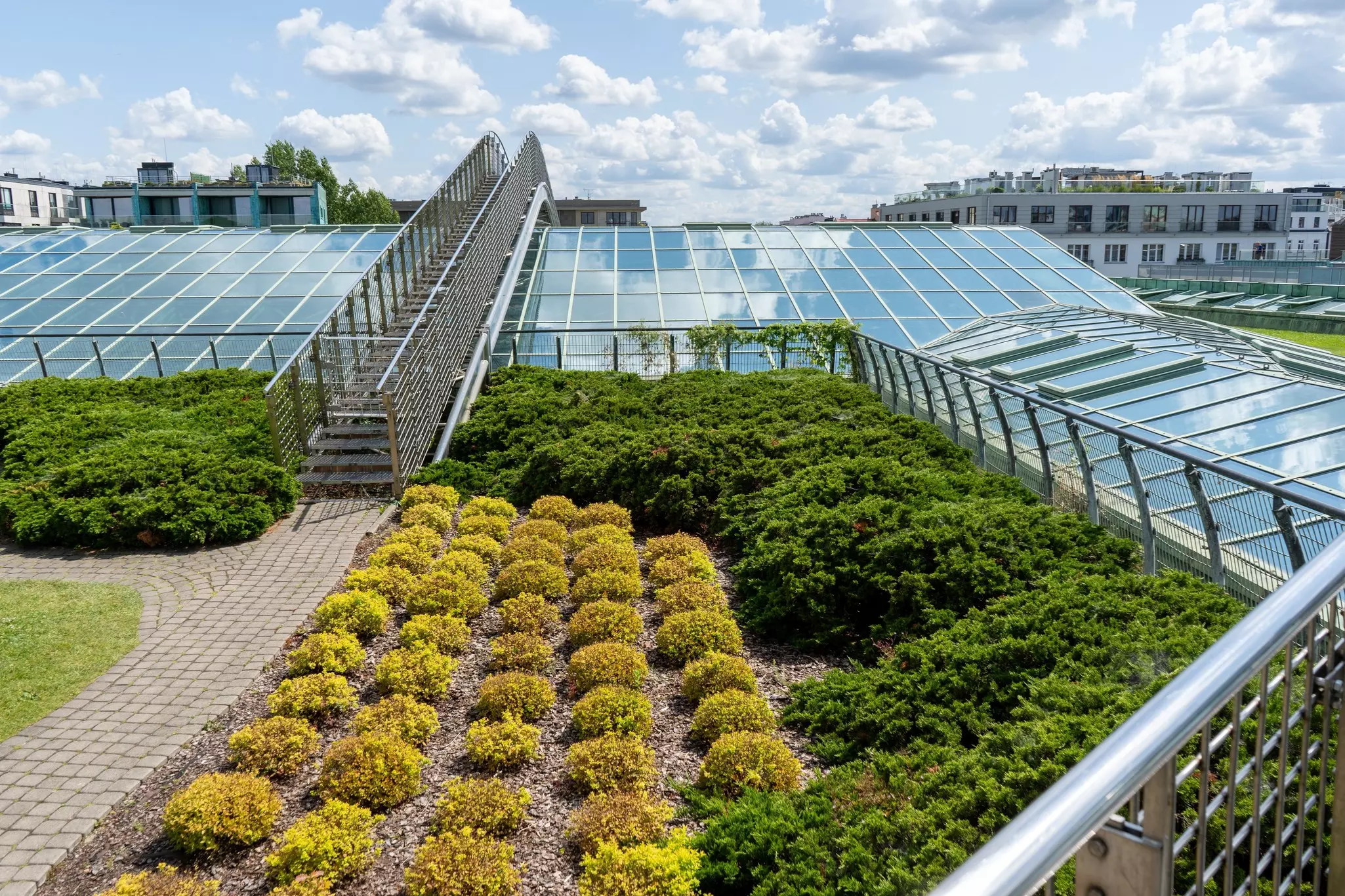 Green and yellow plants at the botanical garden on the roof of the Library of Warsaw University