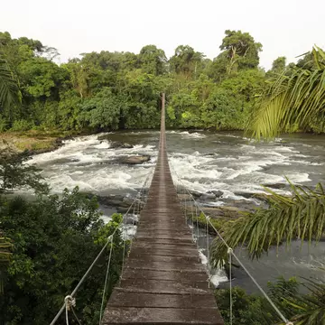 1128792339
africa, landscape - scenery, tranquil scene, flowing water, rainforest, lush foliage, footbridge, rock - object, national park, cameroon, no people, tree, water, travel, nature, forest, river, scenics - nature, stream - flowing water, environment, flowing, leaf, beauty, idyllic, backgrounds, woodland, national landmark, plant, natural parkland, travel destinations, public park, stone - object, rapids - river, No People
Mana River Foot Bridge, entrance to the Korup National Park. One of Africa's oldest and richest rainforests in terms of floral and faunal diversity, Korup National Park is 1,260 km2 of mostly undisturbed primary forest