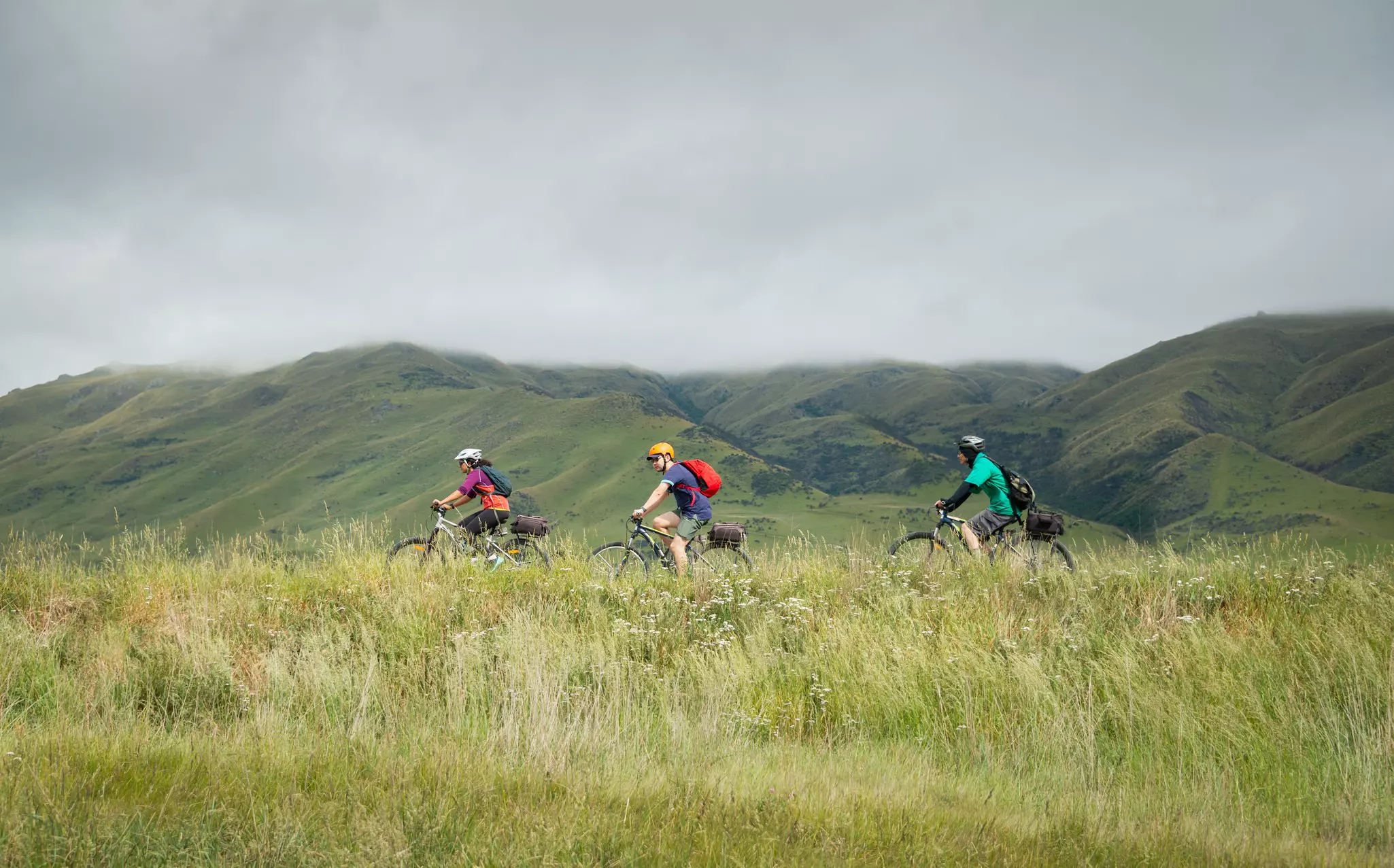 The Otago Central Rail Trail is one of the South Island’s most popular choices for cyclists © Janice Chen / Shutterstock