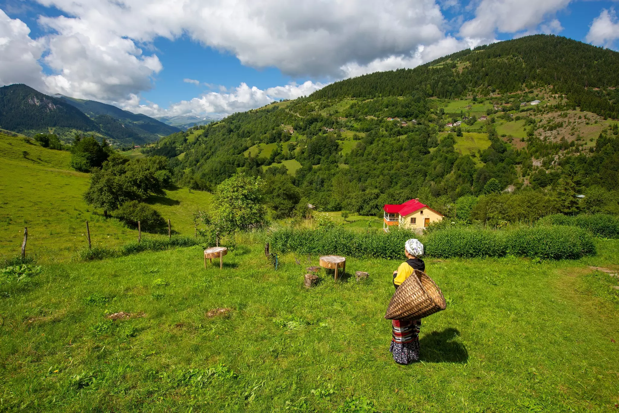 A woman with a basket on her back gazes out over a rural hilly landscape