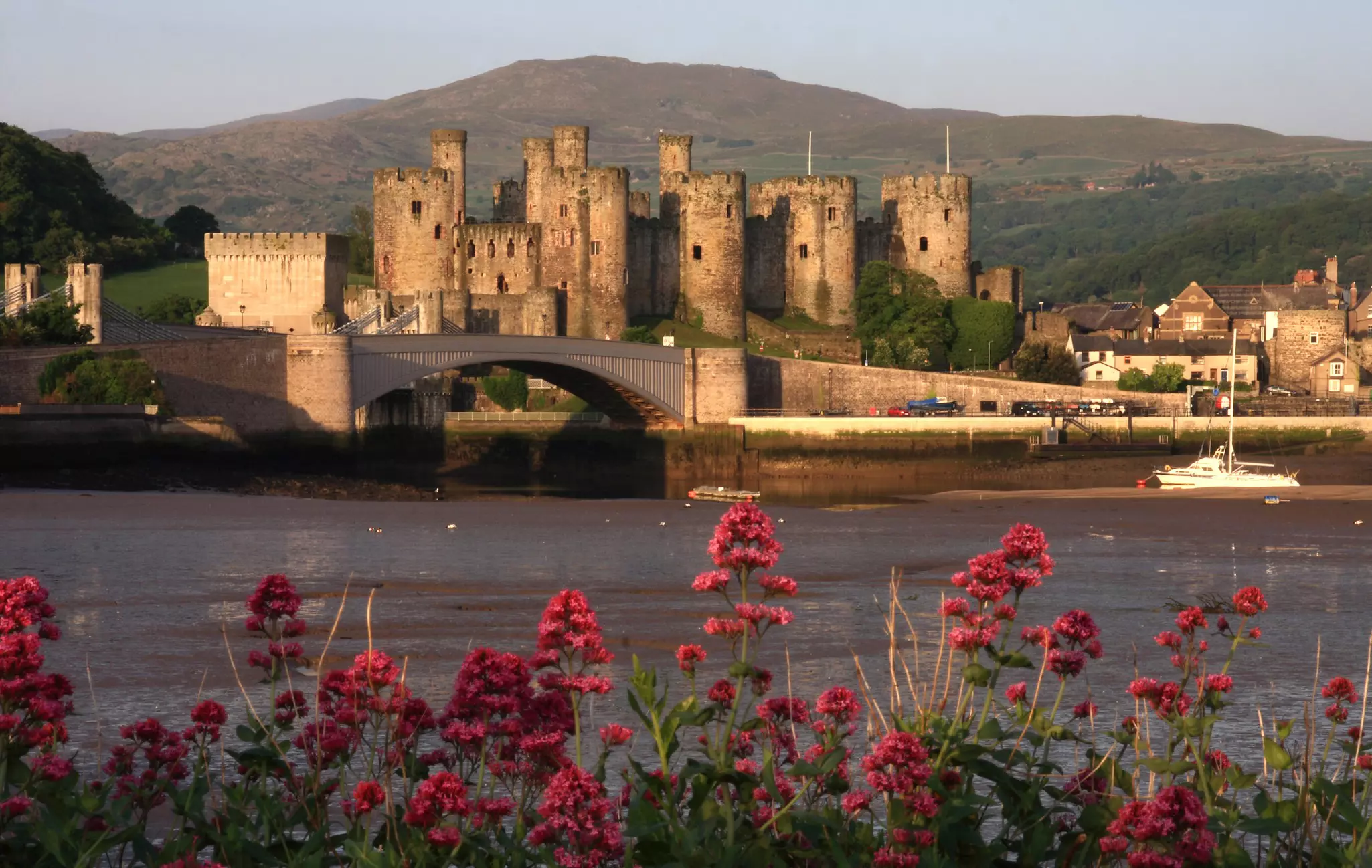 Conwy town and castle on the North Wales coast