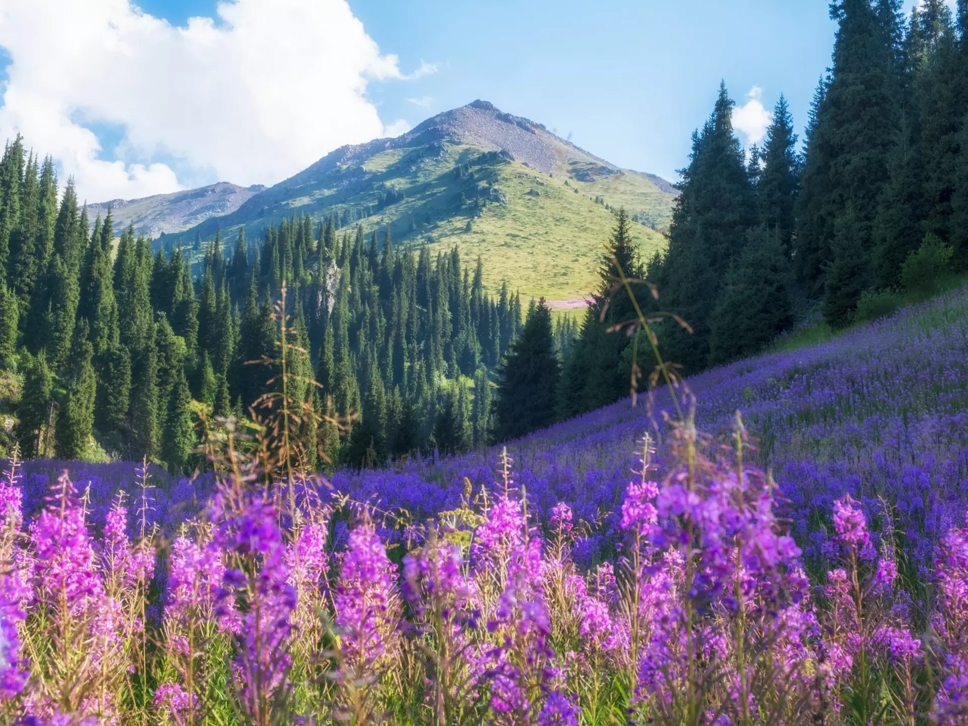 Explore beyond Almaty with these top day trips into the wilderness of the Tian Shan mountains. Lana Kray / Shutterstock