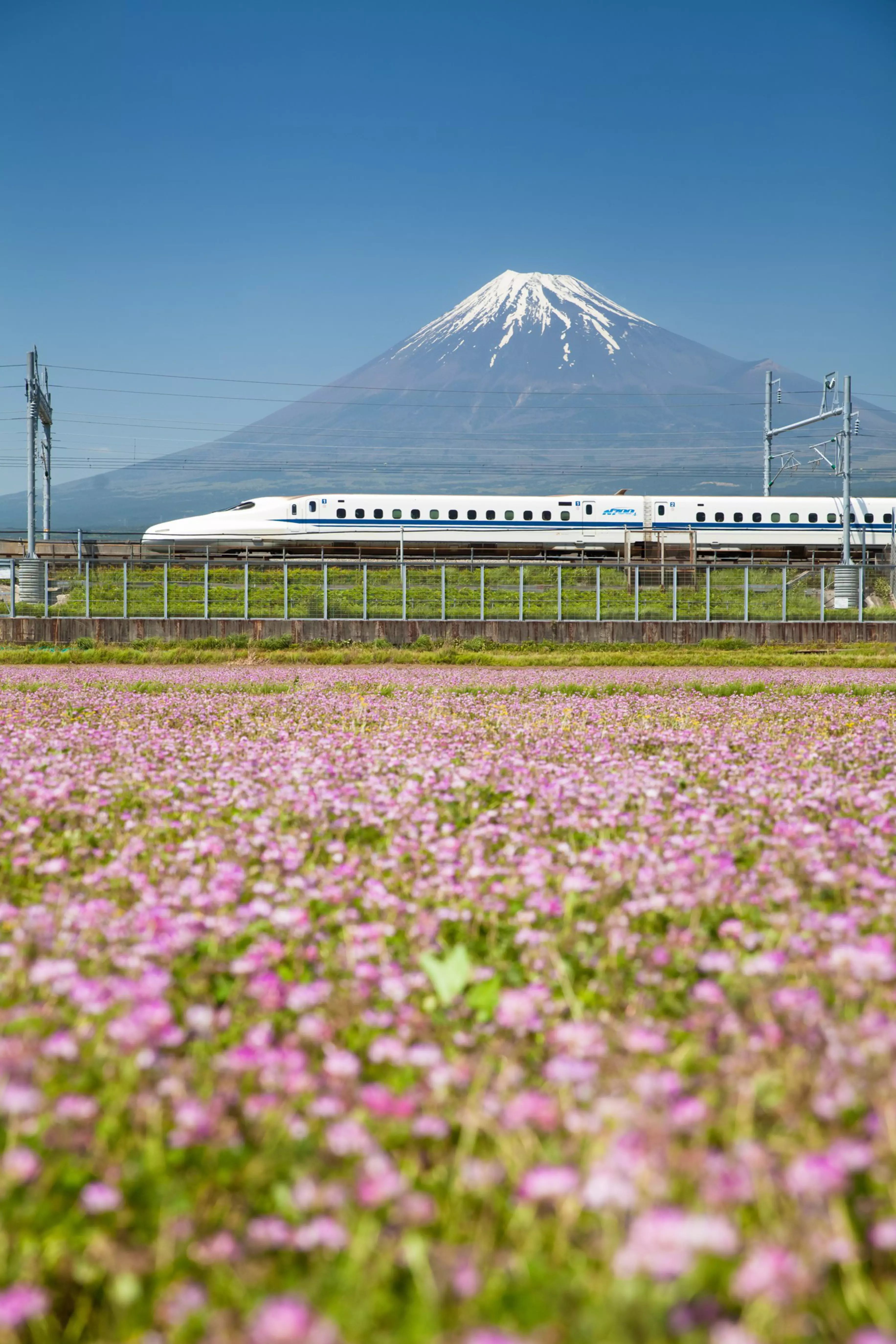Views of the Shinkansen bullet train and Mountain Fuji