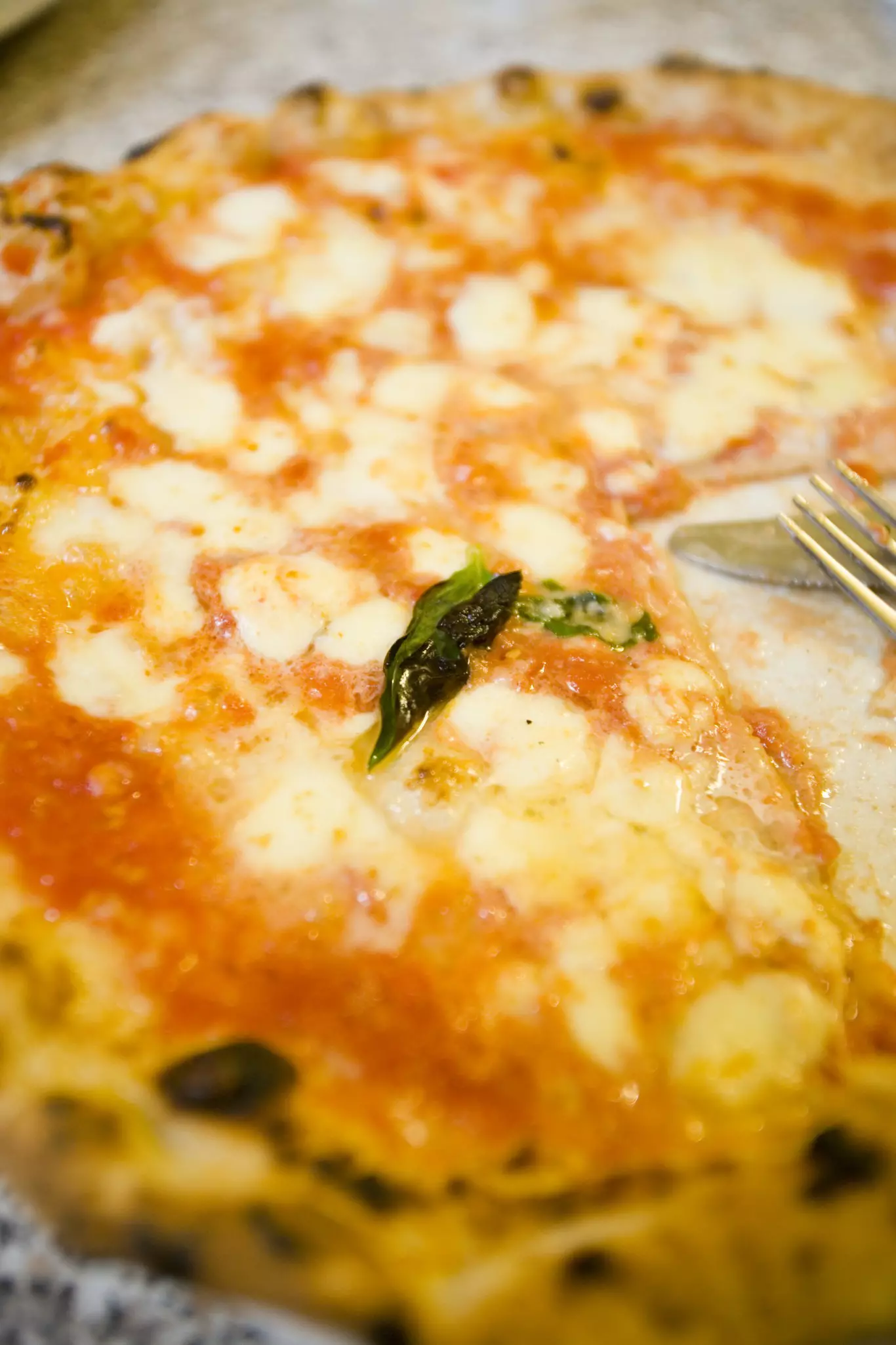 Margherita pizza from Pizzeria Di Matteo in Naples