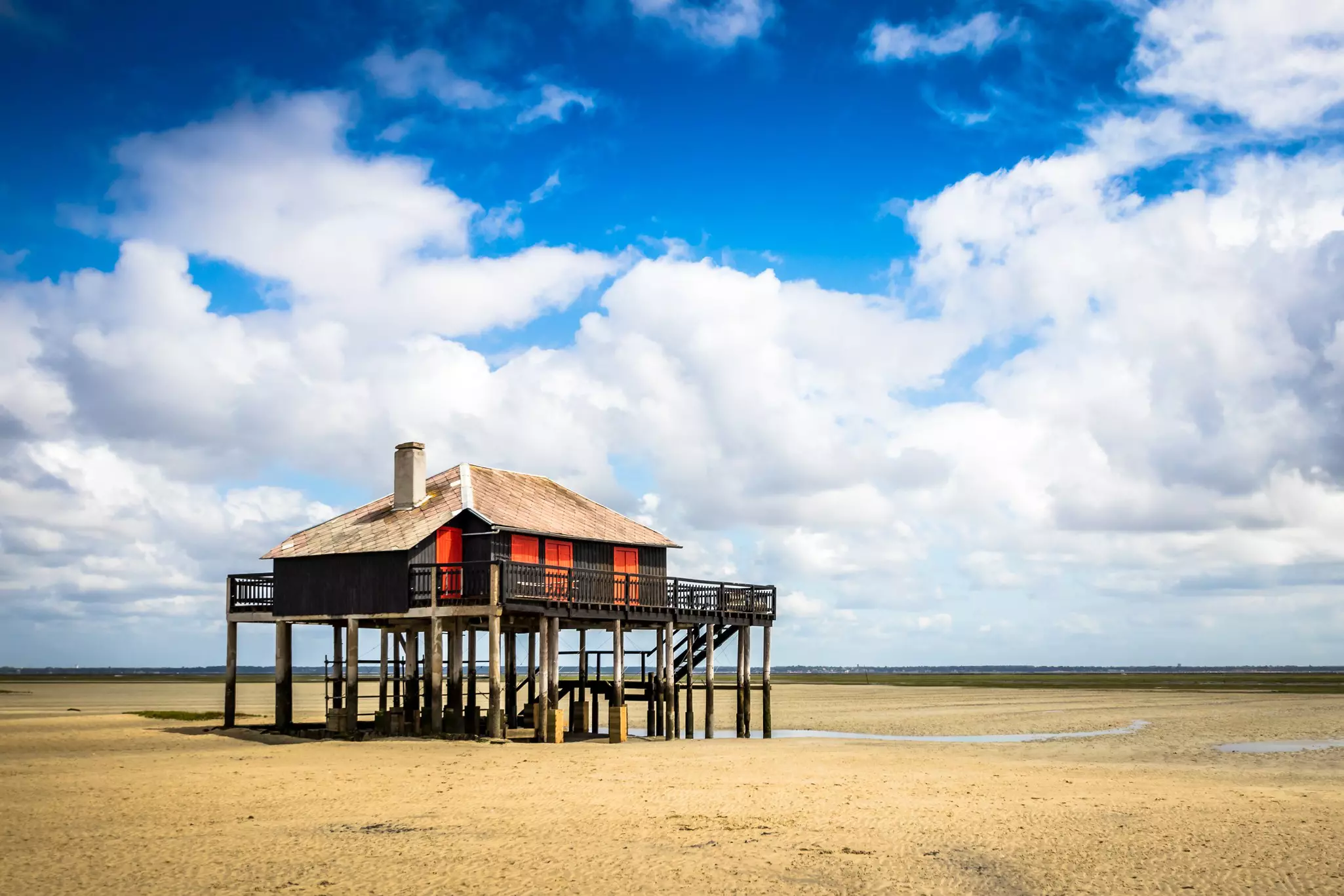 beautiful black wood house on stilts in the basin of Arcachon on the island with birds