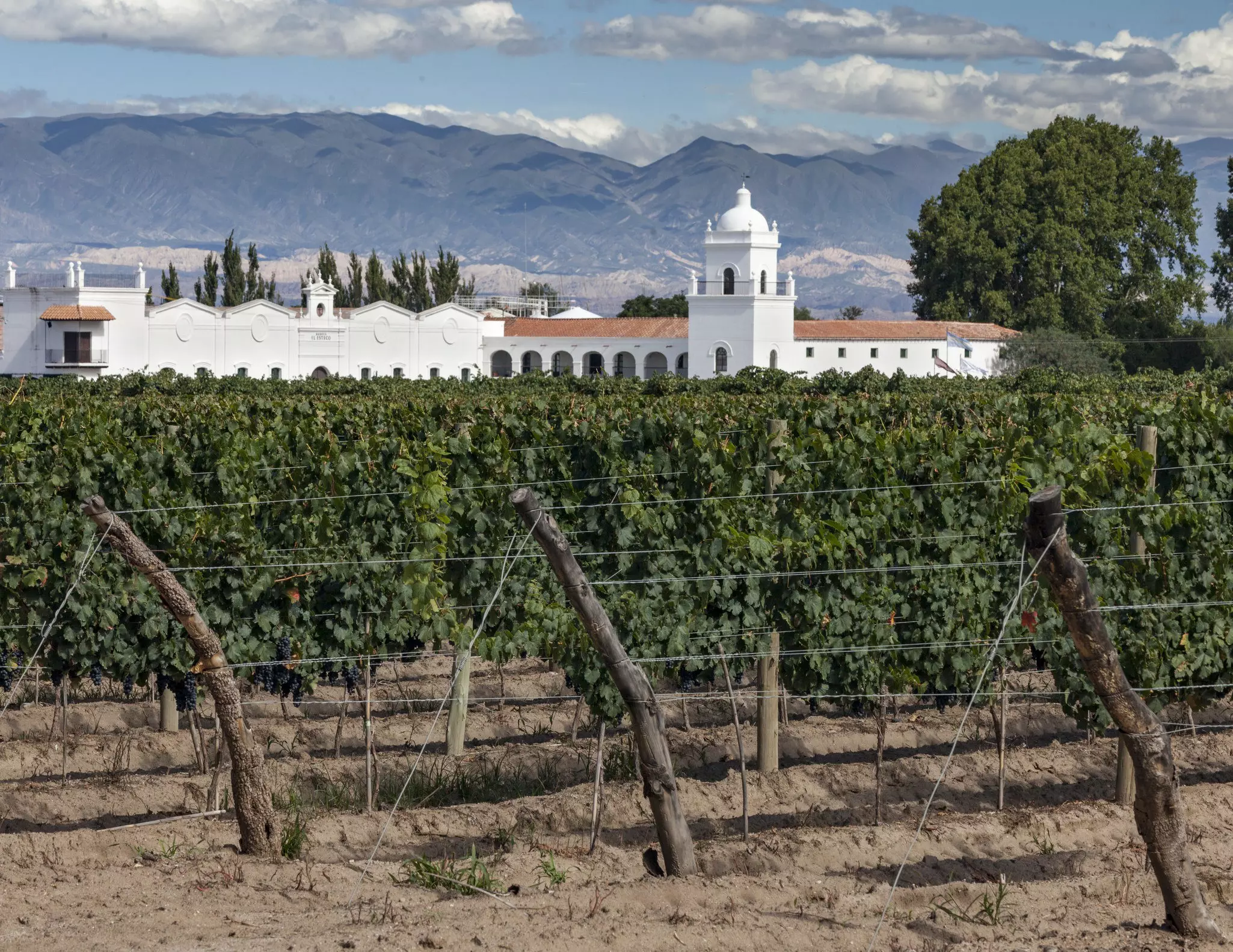 A white colonial-era mansion overlooks a vineyard. There are mountains in the background