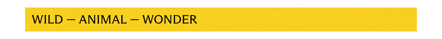 Wild - Animal - Wonder