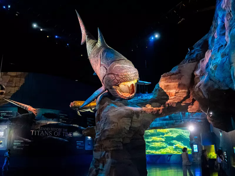 Ancient Waters exhibit. Courtesy of Singapore Oceanarium