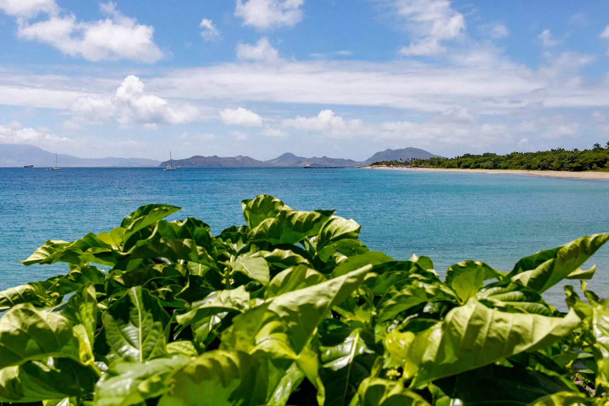 Gorgeous Nevis has tons of wonderful things to do – here are our favorites. Kacey Jeffers for Lonely Planet