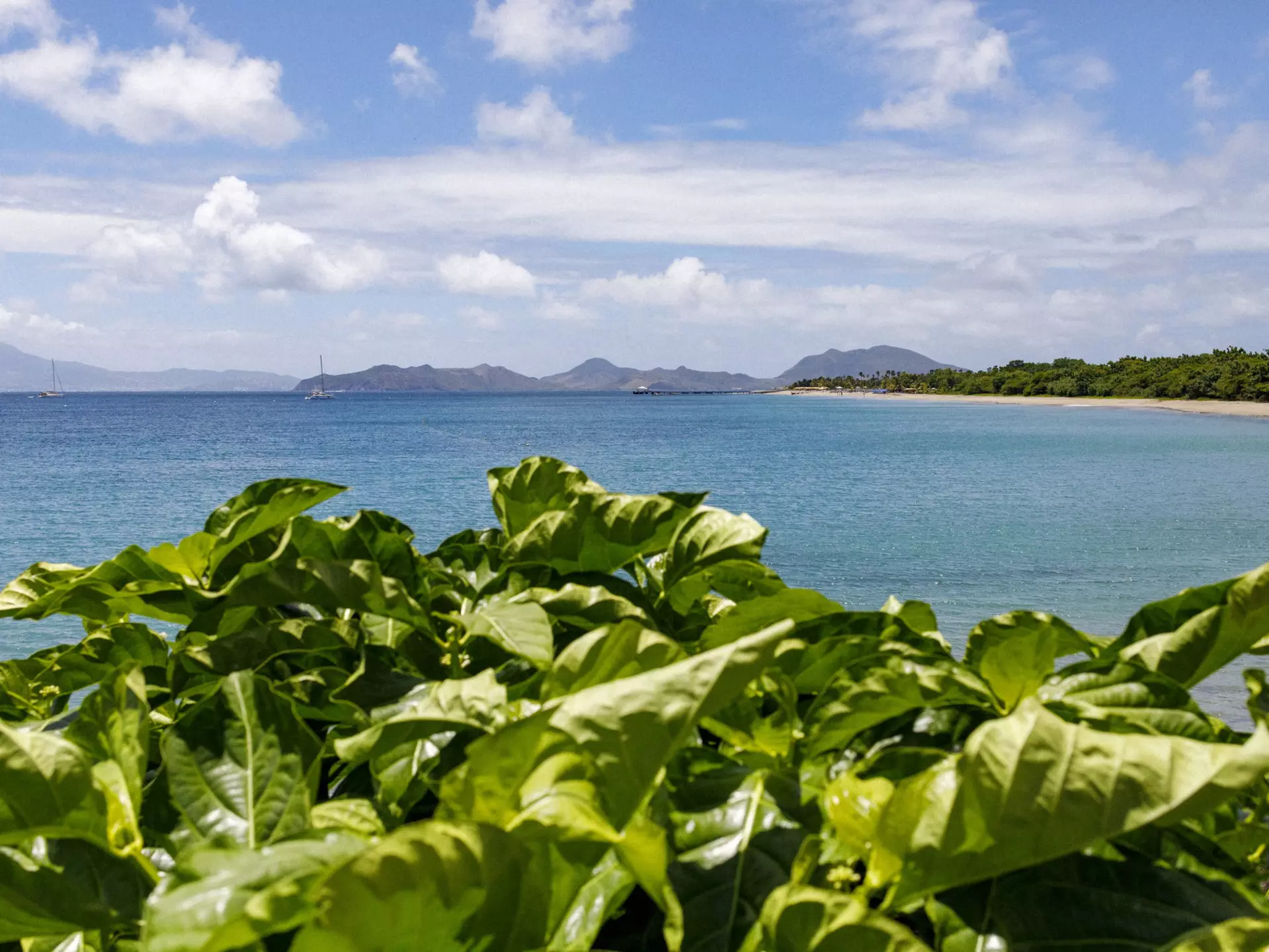 Gorgeous Nevis has tons of wonderful things to do – here are our favorites. Kacey Jeffers for Lonely Planet