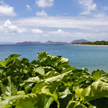 Gorgeous Nevis has tons of wonderful things to do – here are our favorites. Kacey Jeffers for Lonely Planet