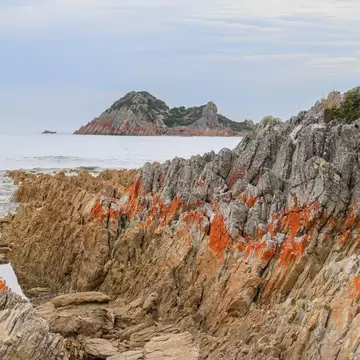 Rock formations with bright orange moss along the coast of Rocky Cape National Park in Northern Tasmania in Australia.