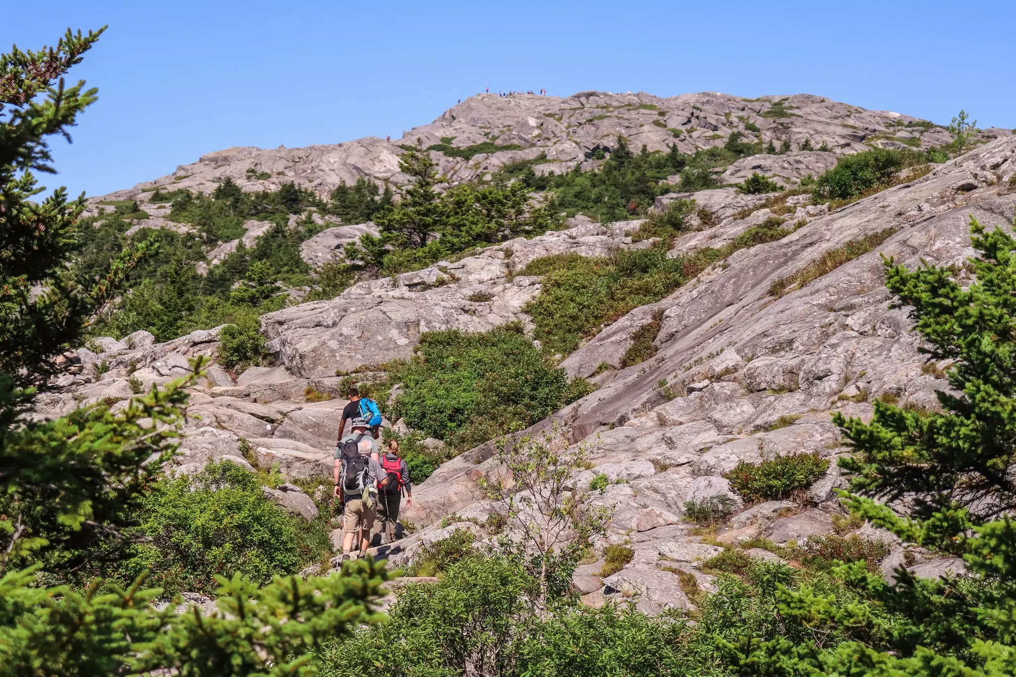 A small group of hikers ascending Mount Monadnock, at Monadnock State Park in New Hampshire. , License Type: media, Download Time: 2024-09-09T04:38:03.000Z, User: Norma.PrauseBrewer_LonelyPlanet, Editorial: false, purchase_order: 56530, job: Global Publishing WIP, client: New England 11, other: Norma Brewer