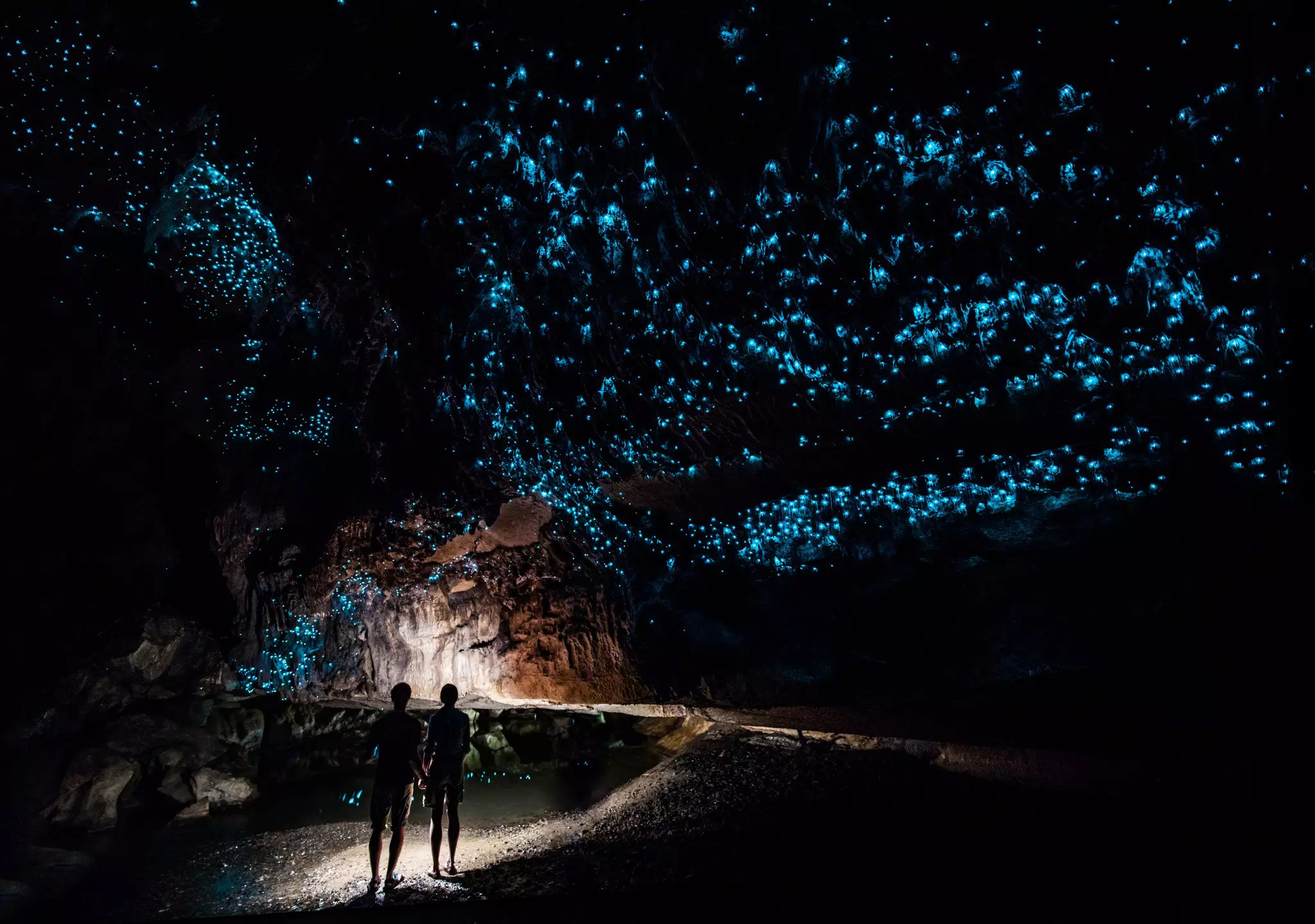 The natural wonder of bioluminescence can be found all over the world, from tropical lagoons to glowworm-illuminated caverns (pictured). Marcel Strelow/Getty Images