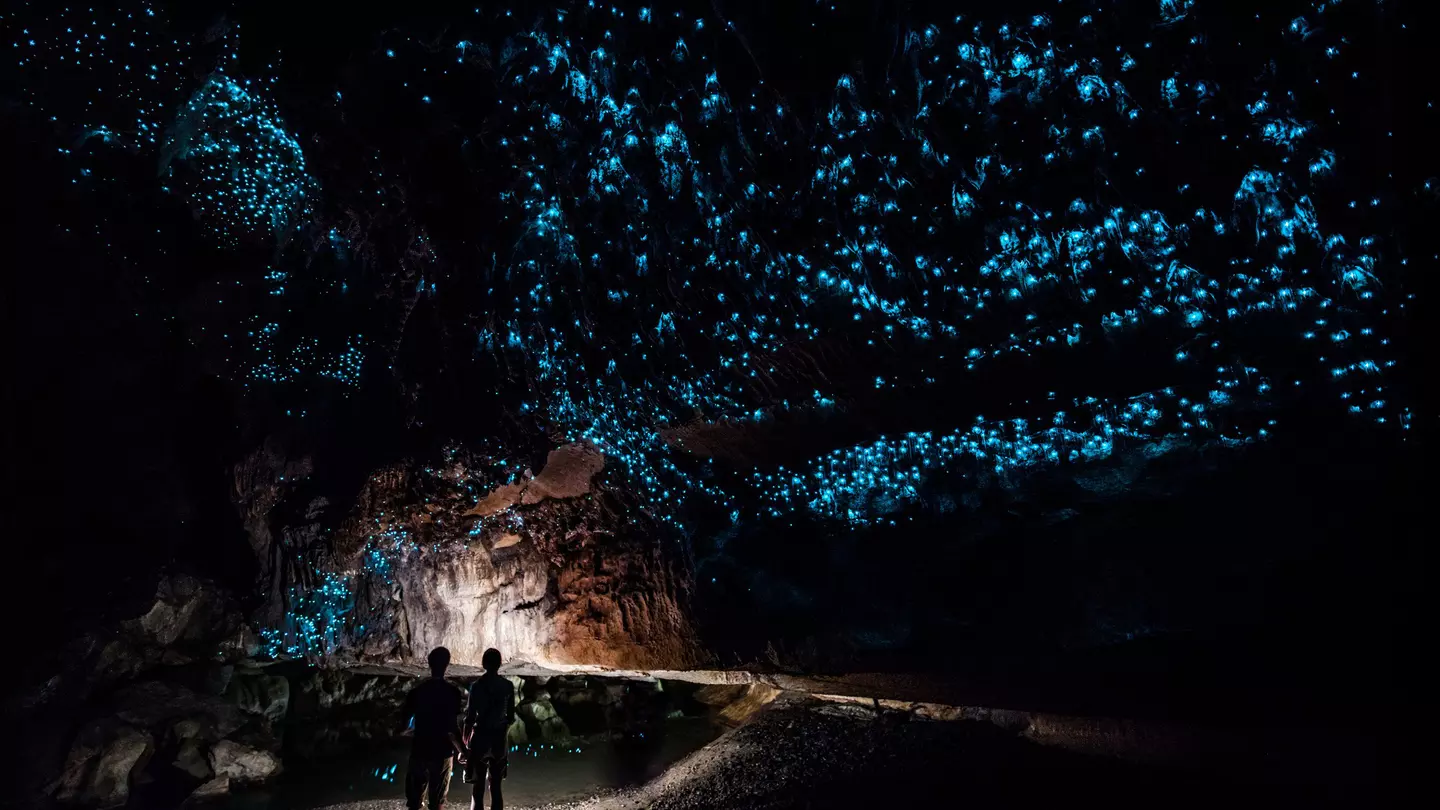 Two people in a dark cave that has blue iridescent spots on the ceiling.