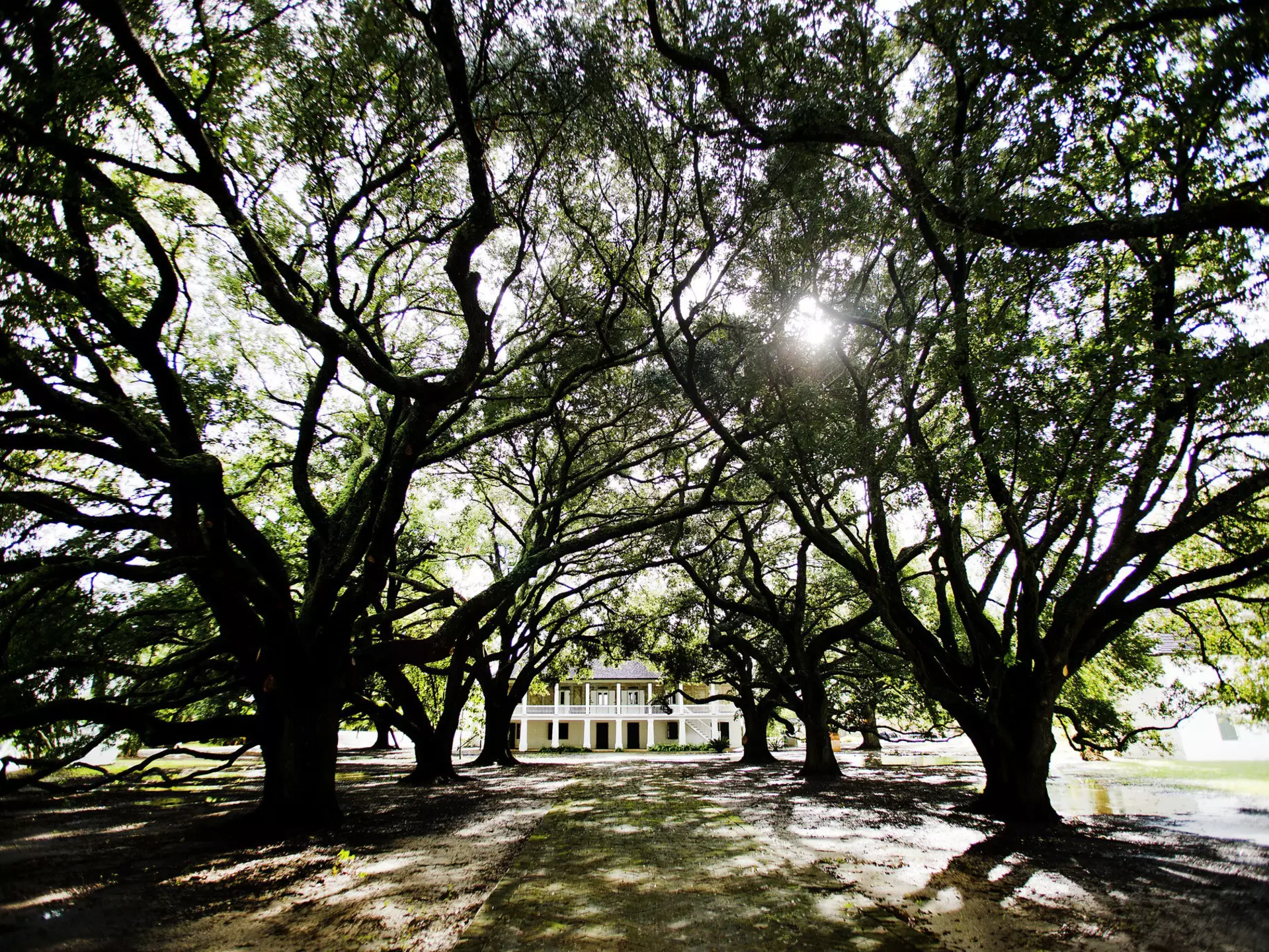 The Whitney Plantation, in Wallace, Louisiana, offers a window into the state's history. Getty Images