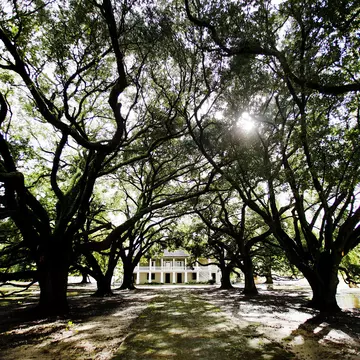 The Whitney Plantation, in Wallace, Louisiana, offers a window into the state's history. Getty Images