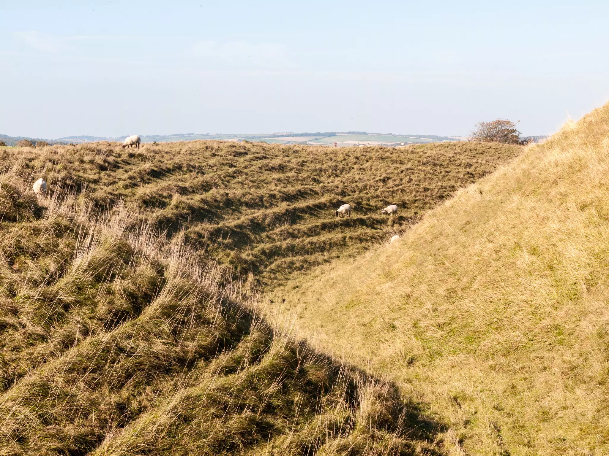 Take in the views of the terraced fields at Maiden Castle in Dorset © Callum Redgrave-Close / Getty Images