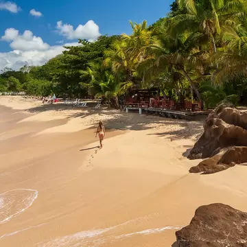 A long curve of pale sand with turquoise surf on one side and palms, sunloungers and an open-sided beach bar on the other.