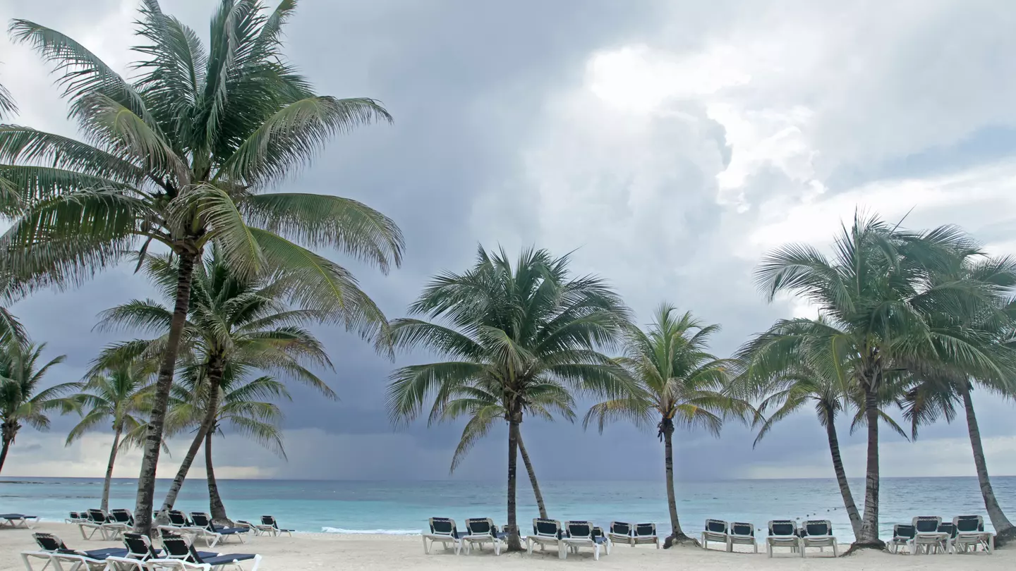 Tropical storm out at sea, with huge grey clouds and sheets of rain coming down approaching a palm-lined beach