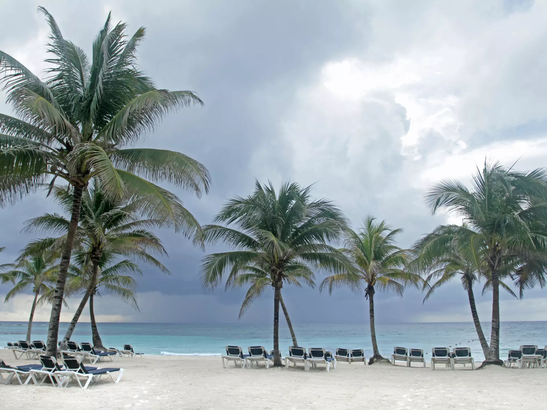 Tropical storm out at sea, with huge grey clouds and sheets of rain coming down approaching a palm-lined beach